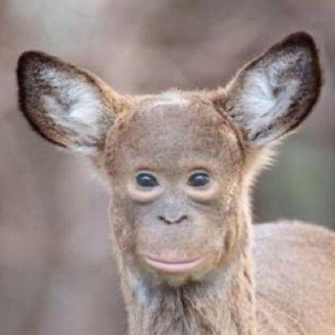 Масков Айлон Венциславович