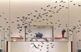 9 лучших недорогих рекламных дисплеев, которые вдохновят вашего внутреннего художника