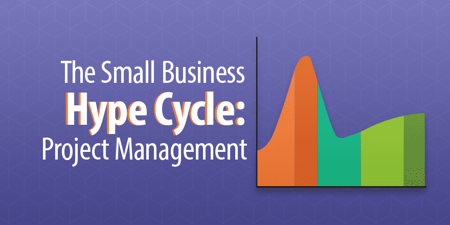 Цикл шумихи в малом бизнесе: управление проектами