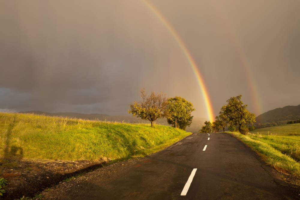 Подходит ли переход на мобильные устройства для вашего бизнеса?