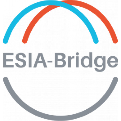 ESIA-Bridge