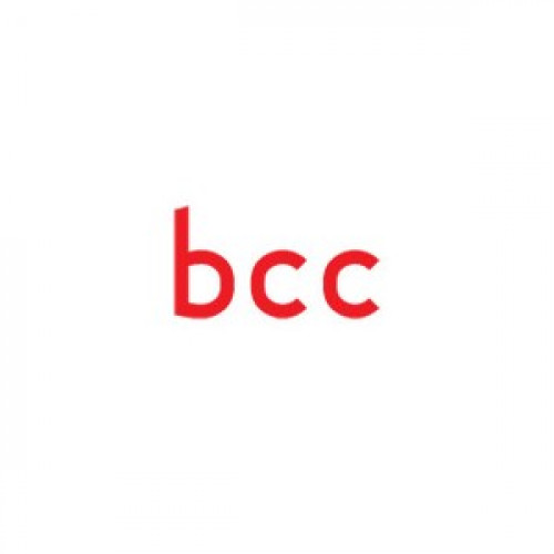 BCC Stereo Visor