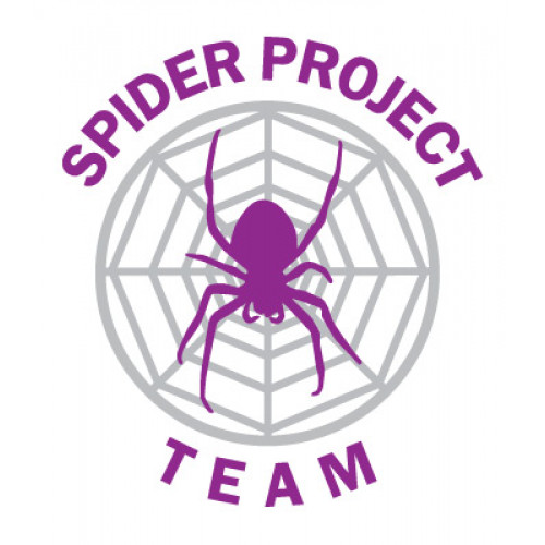 Spider Project Professional