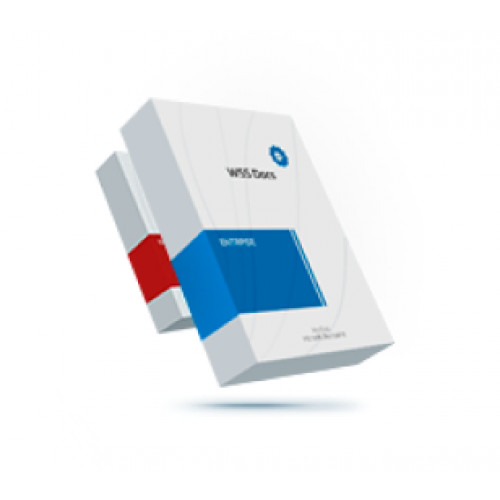 Система электронного документооборота WSS Docs