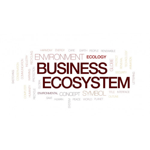 Business Ecosystems Console Management System Manager