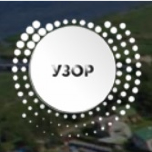 Программа Автоматизированная информационная система «УЗОР»
