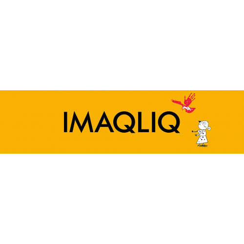 Программное обеспечение абонентских приставок серии IMAQLIQ Q-Box