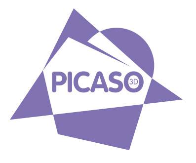 Picaso 3D