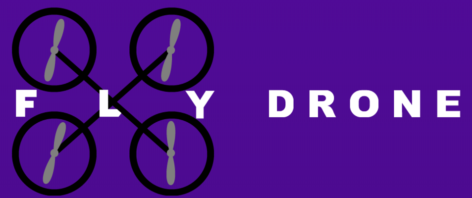 FlyDrone