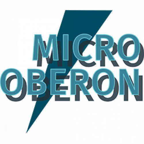 ARM Development Studio "Microb"
