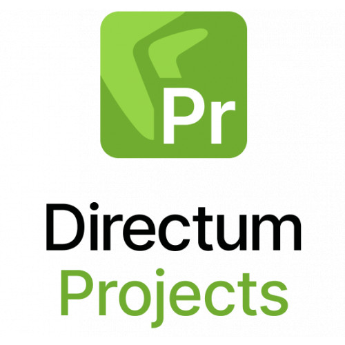 Directum Projects