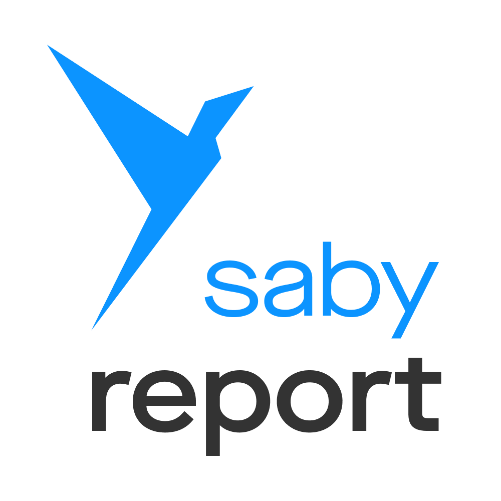 Saby Report — Отчетность через интернет