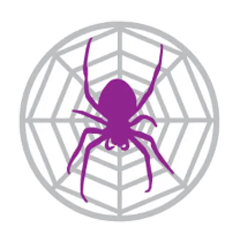 Spider Project Desktop Plus